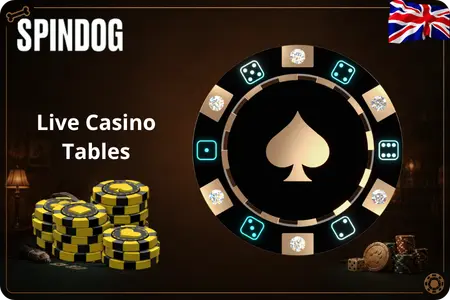 Spindog Casino live casino section