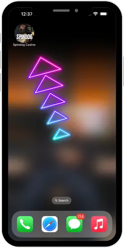 shortcut icon